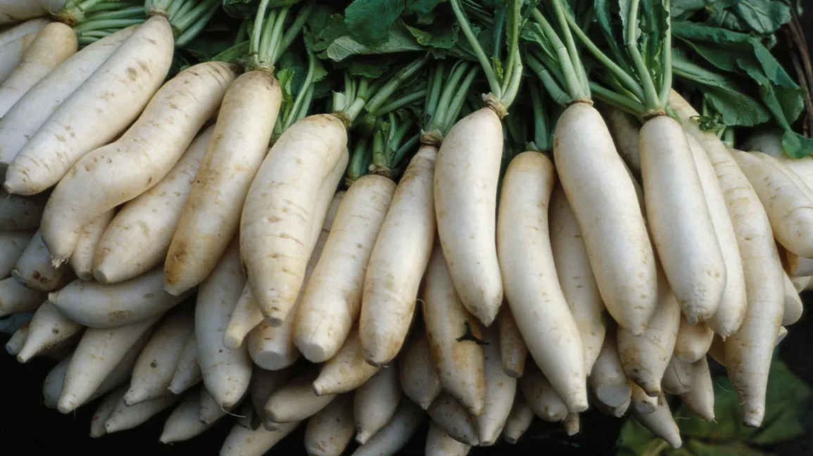 daikon-radish-1296x728-header-1296x728