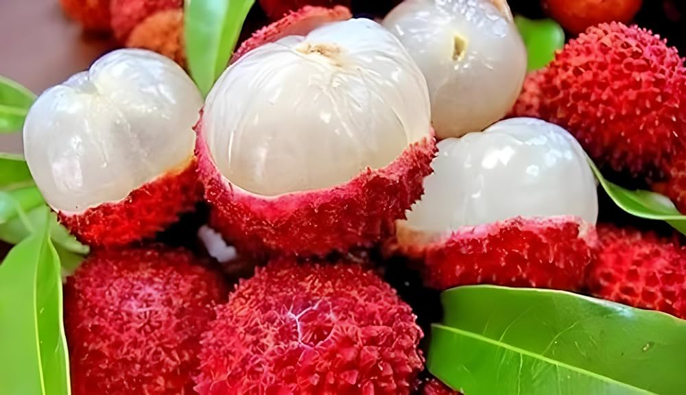 litchi1